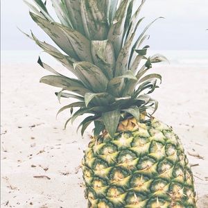 Meet your Posher, Kylee